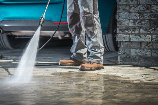 Reliable La Blanca, TX Pressure Washing Services Solutions