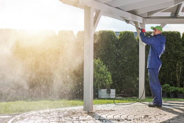 Best Dumpster Area Cleaning  in La Blanca, TX